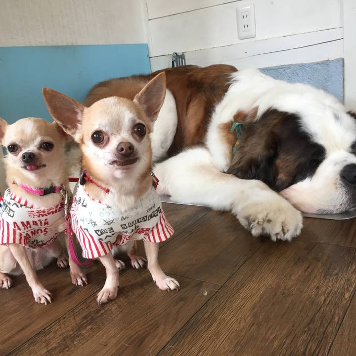 B3eaf205 bced 47a8 bc44 731ee6e79204 1521452251934