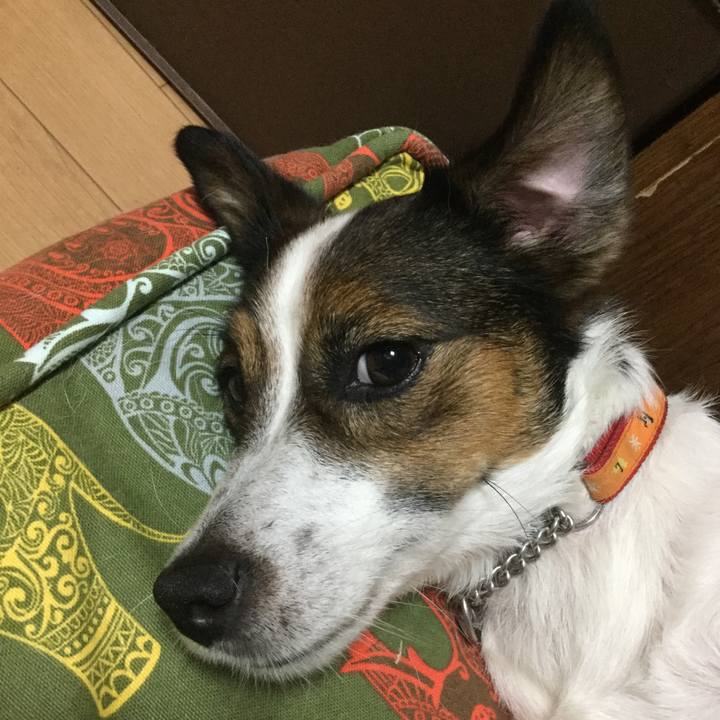 B3eafb2c bbbb 4086 b6ca 7510e2e0850d 1535795663961