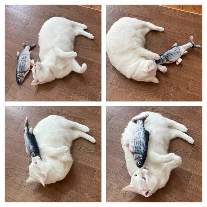 B3eb2521 02f1 46b1 83e1 2c5d330578b0 1646478472517