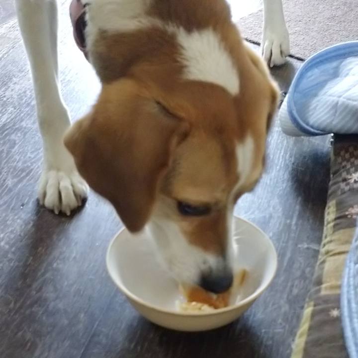 B3eb4e90 4f00 43cc b5f0 67e0f65a0a62 1590804564299