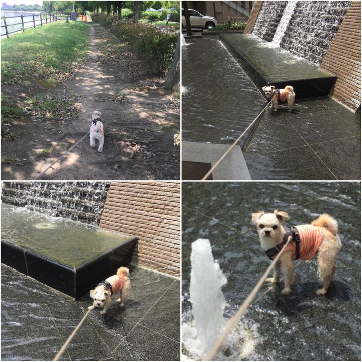 B3eb6668 e64f 4139 bd45 3db56a818193 1566097958125