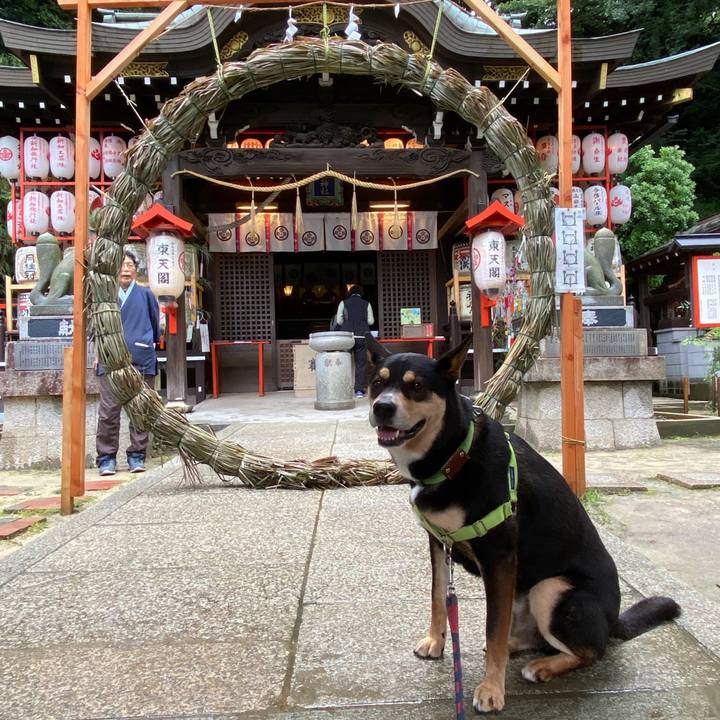 B3eb7f39 21b2 4ea1 b881 42324d148369 1625226235308