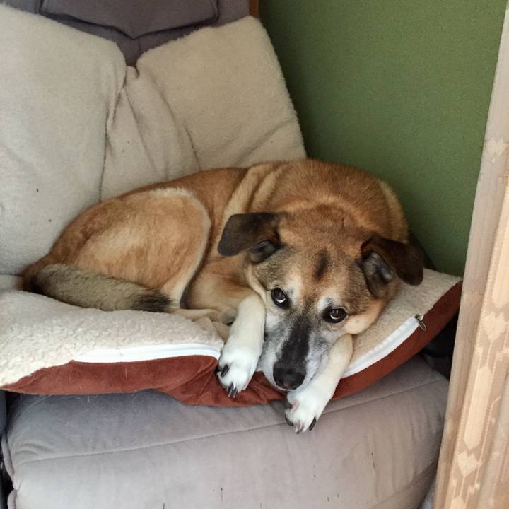 B3eb98d8 bd64 427a bf3d de16a96db226 1576547191254