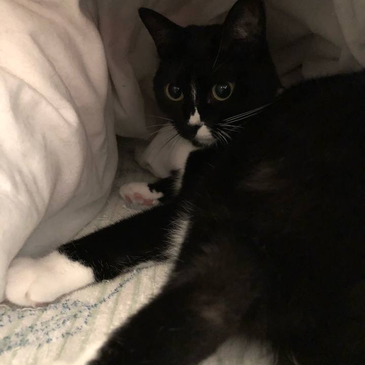 B3ebb065 d865 4d9d 8732 01a008514b7b 1539380748685