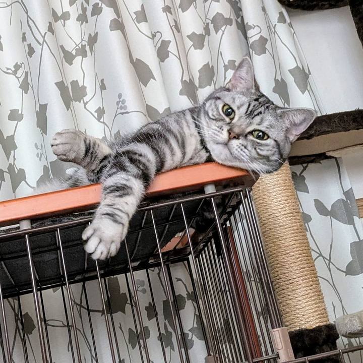 B3ebd4d6 6b12 40e5 99d3 4038f33e1fb4 1745665182227