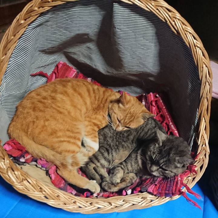 B3ebe577 8ea0 433e 9c73 66aa5a28911c 1558431744848