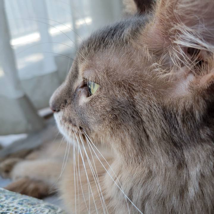 B3ebe899 1002 45b9 a725 0b11c223829b 1656123669342