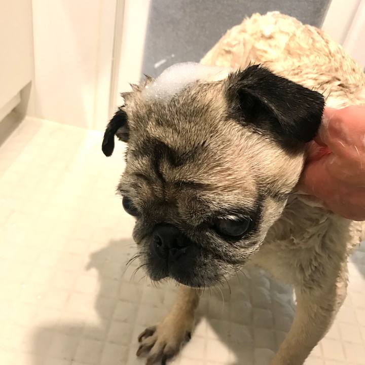 B3ebfed8 74fb 4f45 9aea 367cb5beffe5 1589633514645