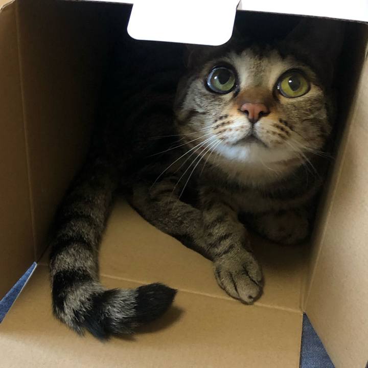 B3ec1639 c96c 4dad 8c9e f0ba761b77f9 1626533430400