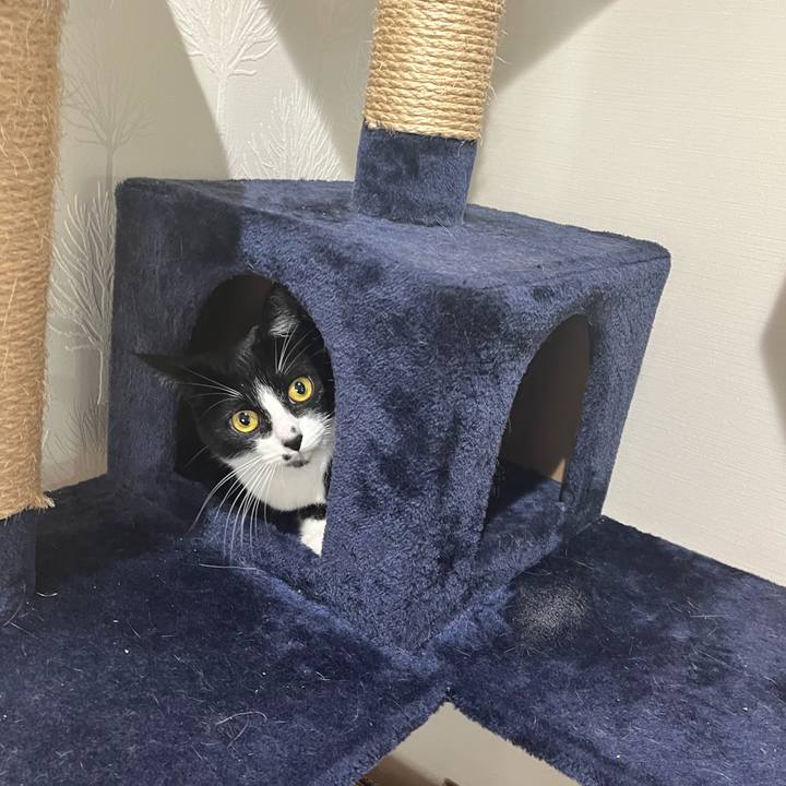 B3ec1935 2e68 4172 ae1c ea506e49f665 1676331854848