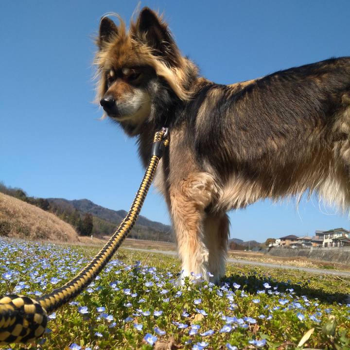 B3ec1d43 6292 4ae1 9c8e 473220111c87 1584247590714