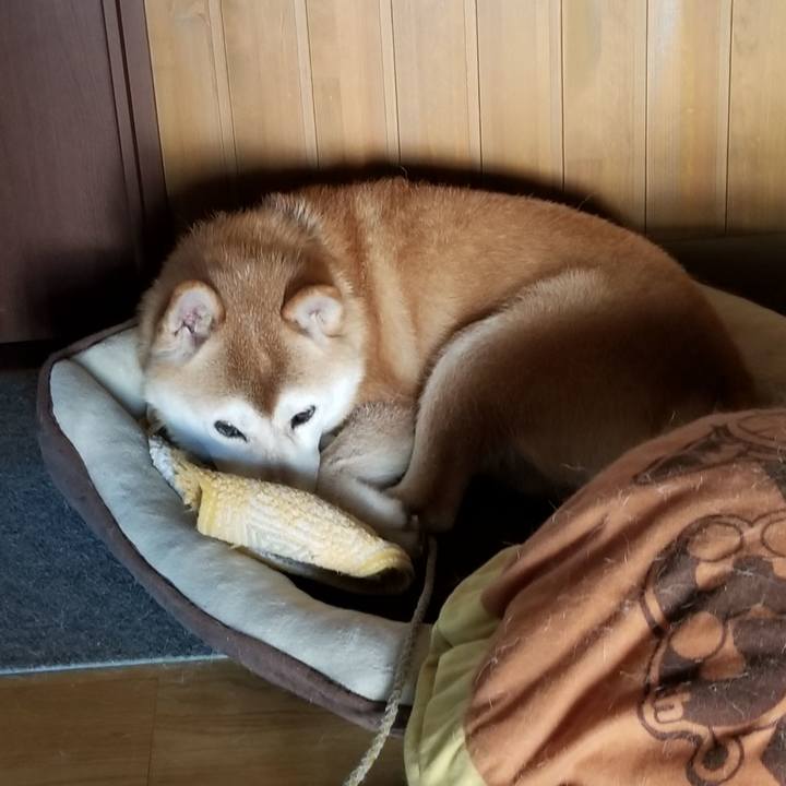 B3ec2027 374d 4ad4 a74d 600c2e88b47a 1628034177447