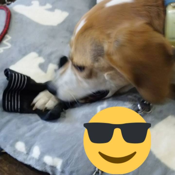 B3ec2597 4a39 4763 93a8 3e260611d4f6 1606044543966