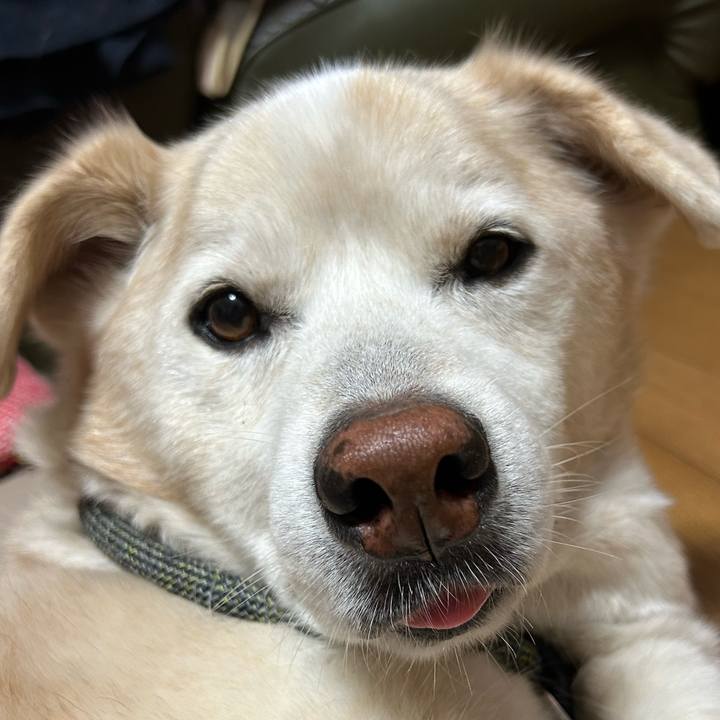 B3ec2e64 01e9 4e35 81b9 c859742e5670 1724534161185