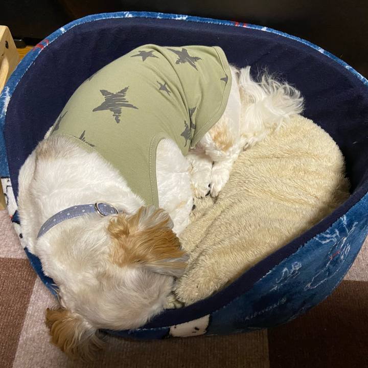 B3ec9cb2 f7f5 4d1d 9d7f 78b9086573a9 1665381473243