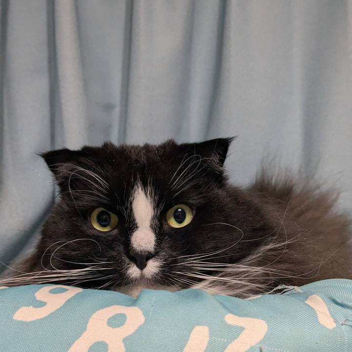 B3eca686 3143 4bc1 ab75 78657d6f7b39 1737321468962