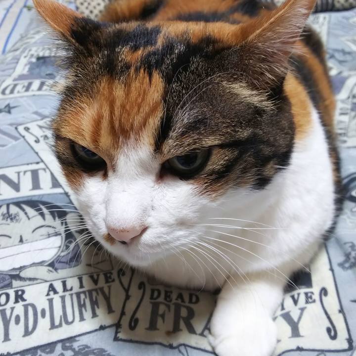 B3ecbf19 944c 44cd b086 99cb0ecd7bef 1570922190385