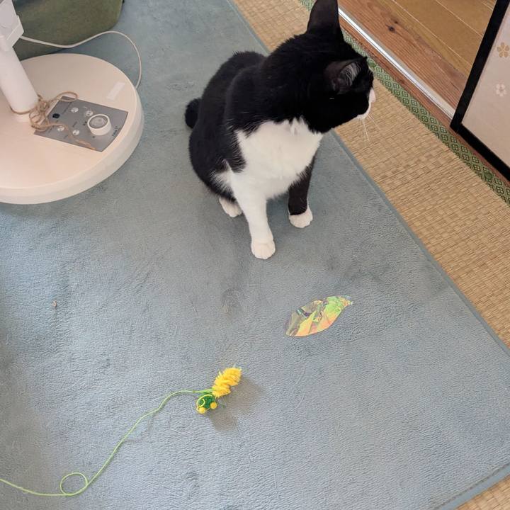 B3ecc253 29a2 4969 a759 e57ca122ef09 1750831621022