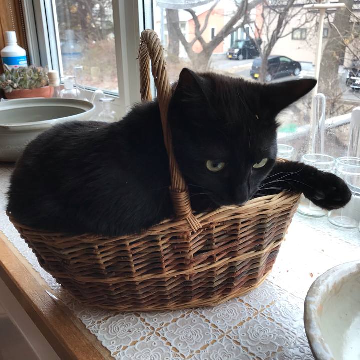 B3ecc38d a8c1 45c7 a5a4 06ecf1a86e7f 1586899715039