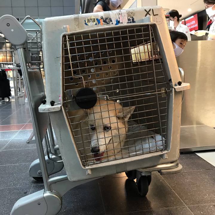 B3ecc54b e14a 43c7 aaa7 949e874ad58d 1660611580346