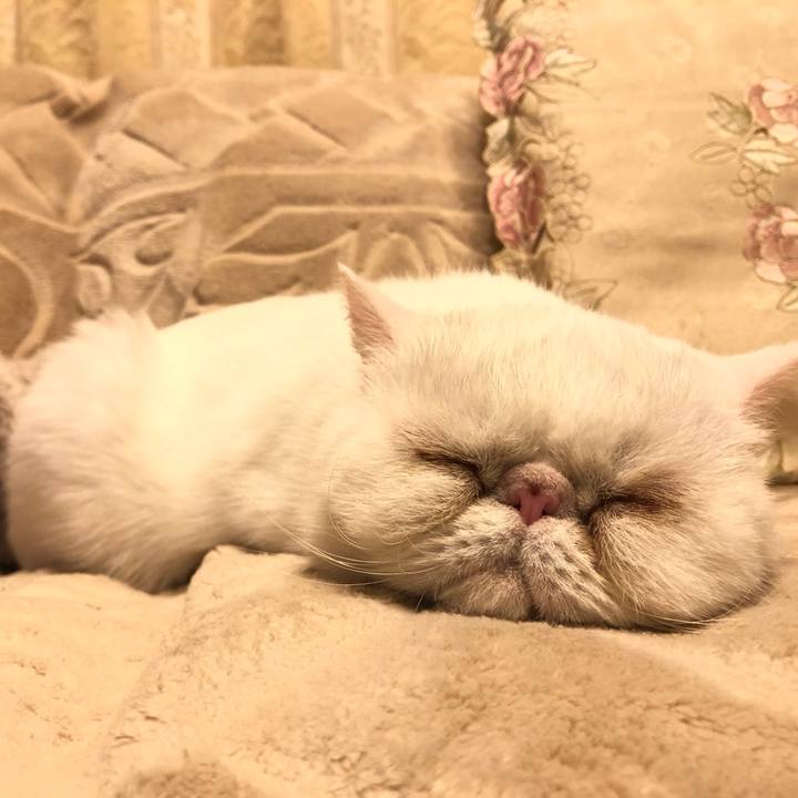 B3ecd2c5 c7e0 4294 b134 cf9fb04a0cb7 1679997891621