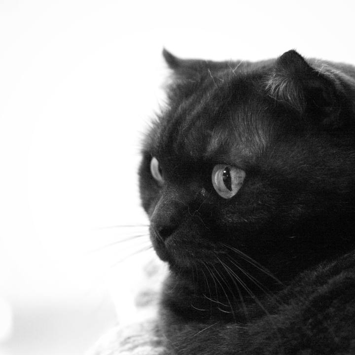 B3ecf803 52fe 4754 bcfc cbad8479b1d2 1538577496614