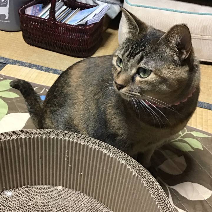 B3ed1f9e 6d92 44a8 9b71 7241708efadf 1734341034099