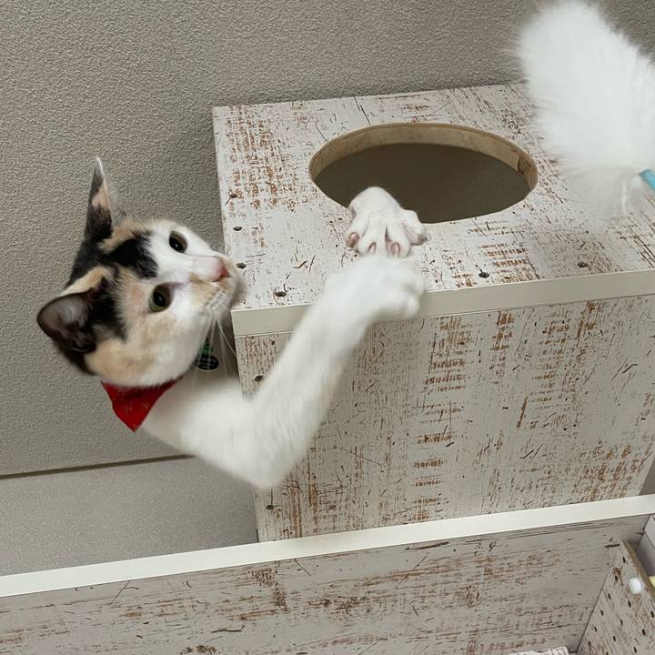 B3ed41bd 6523 47e8 98d5 067f52a87b45 1702946760666