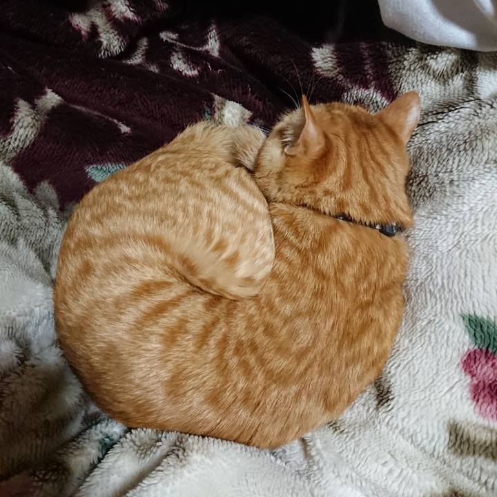 B3ed492a 7f8a 4d2f 9519 29af722b269a 1644411035162