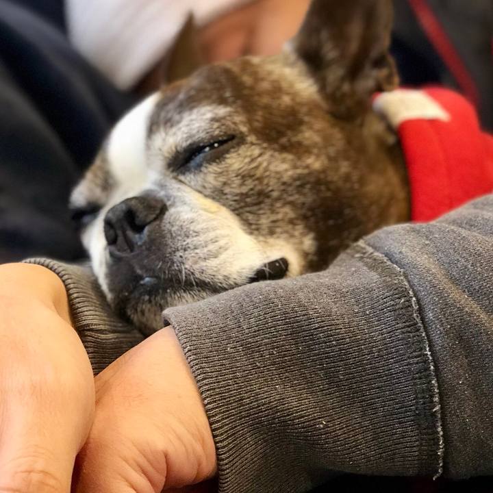 B3ed694b 8094 46b8 9a8e 21988a5f4ceb 1518242747903