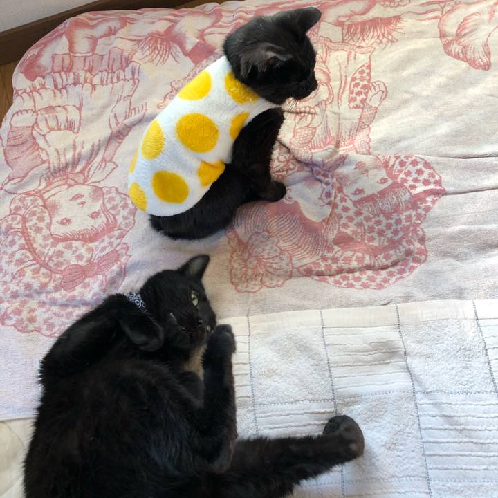 B3ed8dc6 8fd9 4e34 a566 32052b82d36d 1557953787341