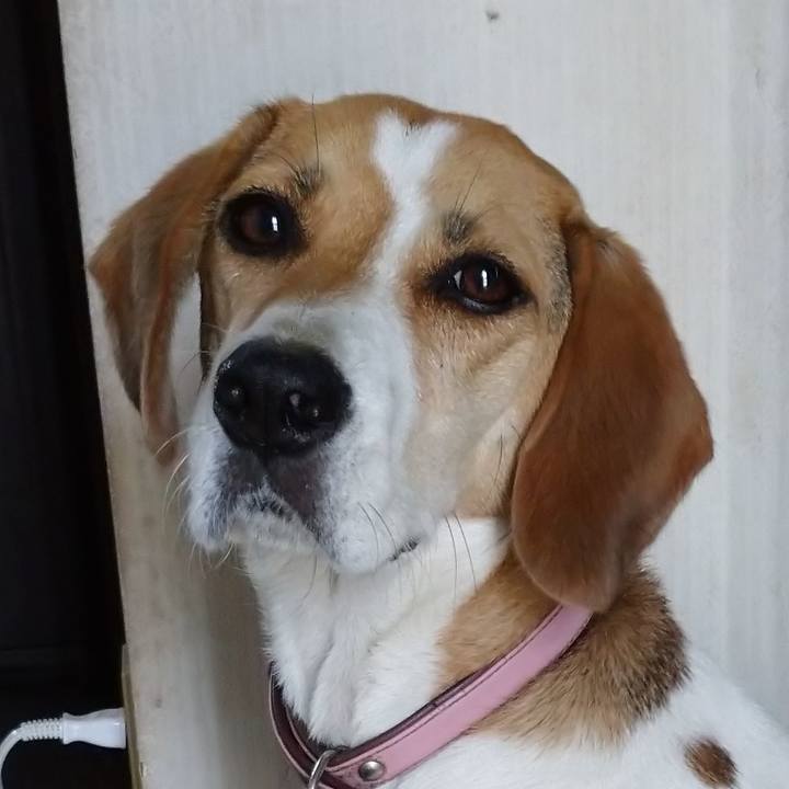 B3ed9012 5d4a 4960 a0fa 406bb4d001ff 1597814073917