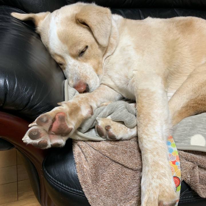 B3edb647 9316 4383 8c25 5d4ddc840198 1546522324878