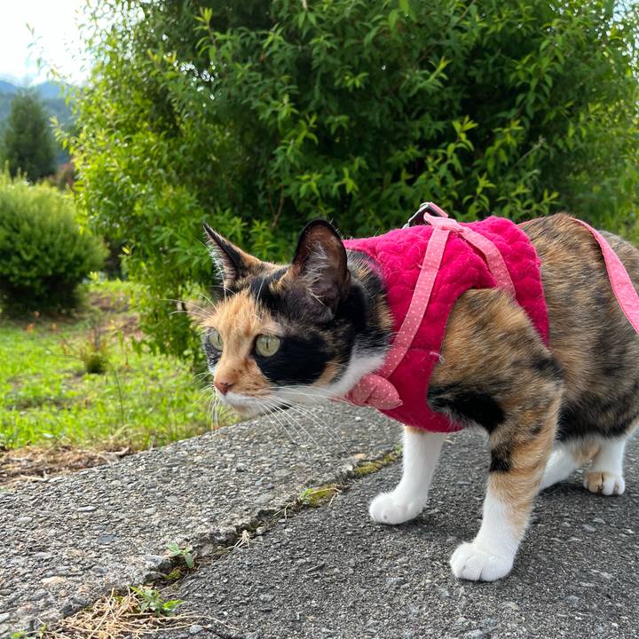 B3edc0a2 3616 40b4 a698 2858e5f1a8b6 1654830730880