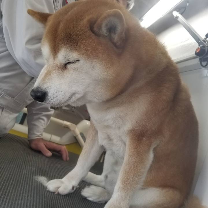 B3edf287 8812 42e1 89d2 9106613d50ae 1585389933316