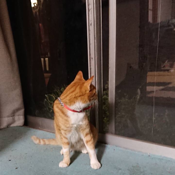 B3ee4c98 1093 4a5d aa6a 9a31594193b8 1570179646406