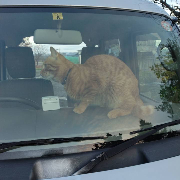 B3ee815e 6cbd 43f6 b2c5 4c5ba9d7ff52 1668671908729