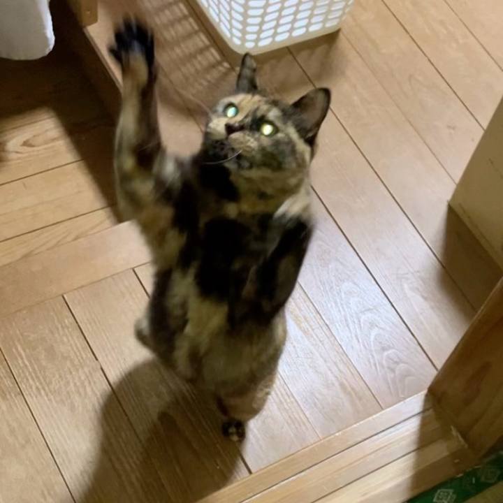 B3ee9b1e ef36 479f aed5 96e7f6ec34c1 1737752130669