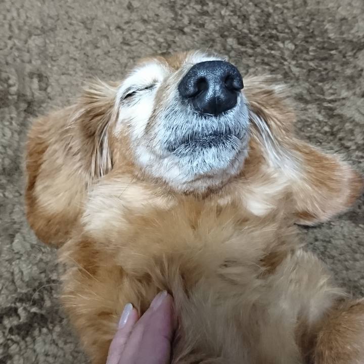 B3eead9b 0bbf 46fe bdfb 40213f8722f2 1545244919635