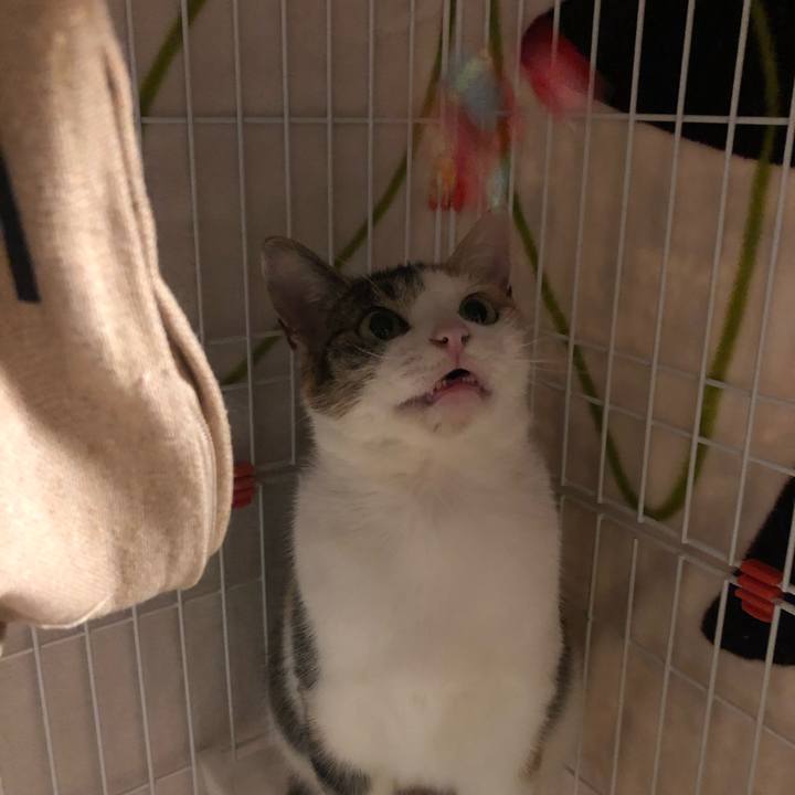 B3eeadaa cf35 4f72 bdab c5d4735b306c 1574875894486