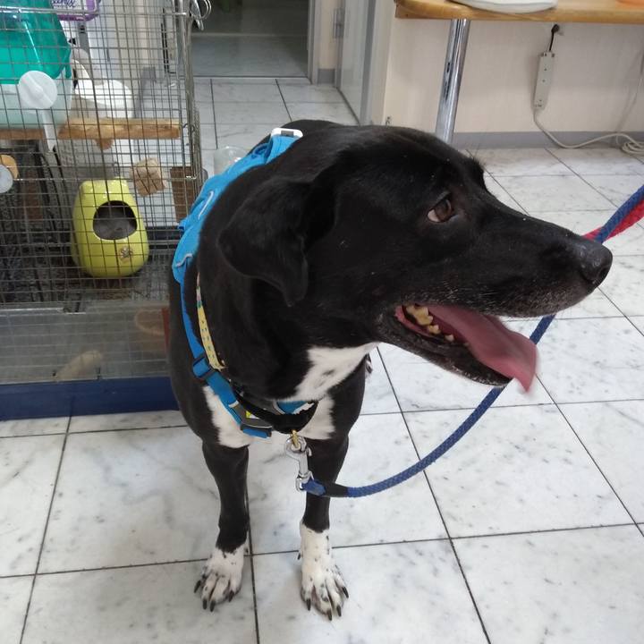 B3ef00b1 336b 4455 8429 c0fc98af388f 1629628671811