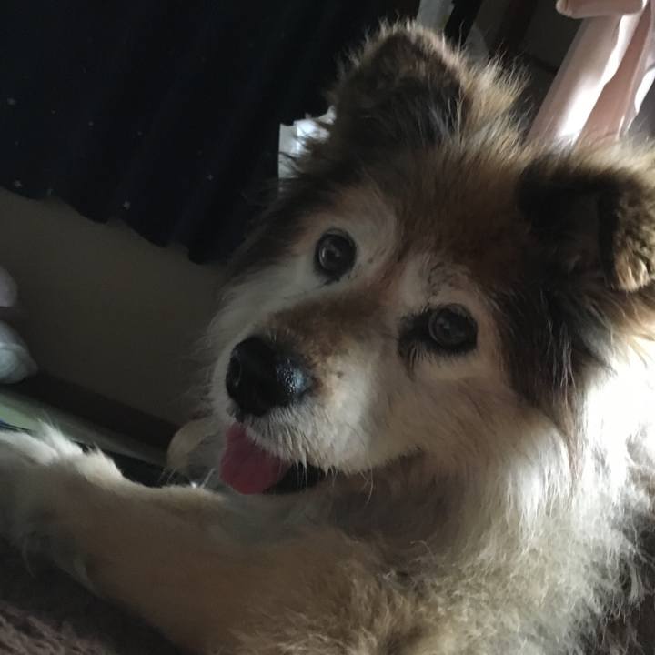 B3ef06c6 cb66 452e a94e ff0007d102dc 1554939388854