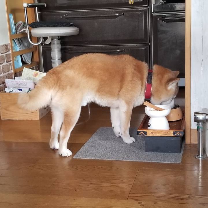 B3ef2e5f db25 489c 9260 e727226edbce 1747461105278