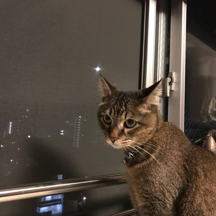 B3ef8474 558c 4d02 b12b 142d58cd9ede 1570638392469