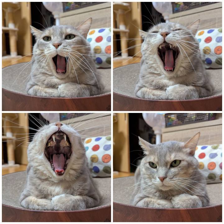 B3ef9779 483f 4756 9872 7ea465a79cde 1773383419199