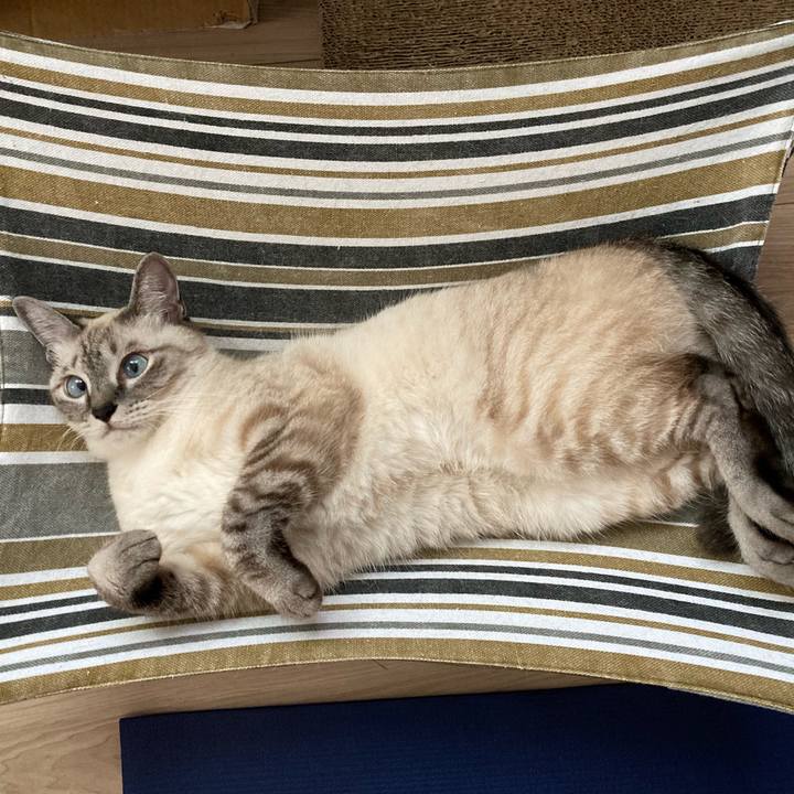 B3eff34d ae15 4837 b2e5 7cc524890452 1599967229824