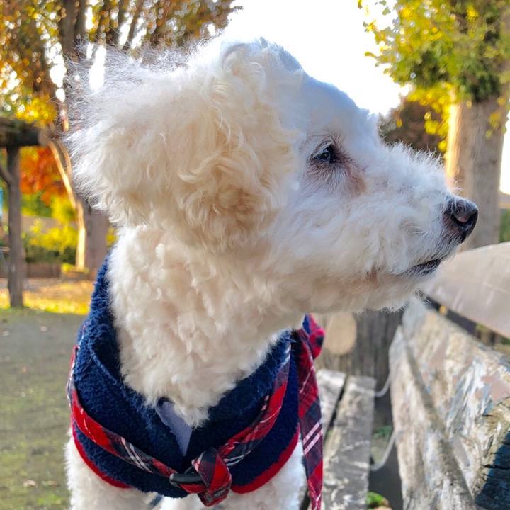 B3f000fd 4e0b 431b 8bfb 01048b04a9f3 1543326034774