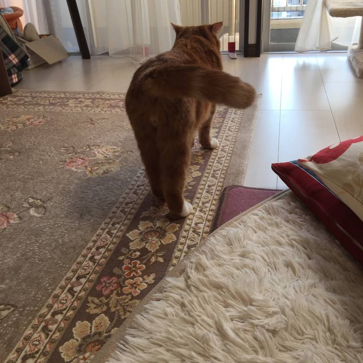 B3f001be 707f 4587 b1aa 91e245eb10c7 1541541730062