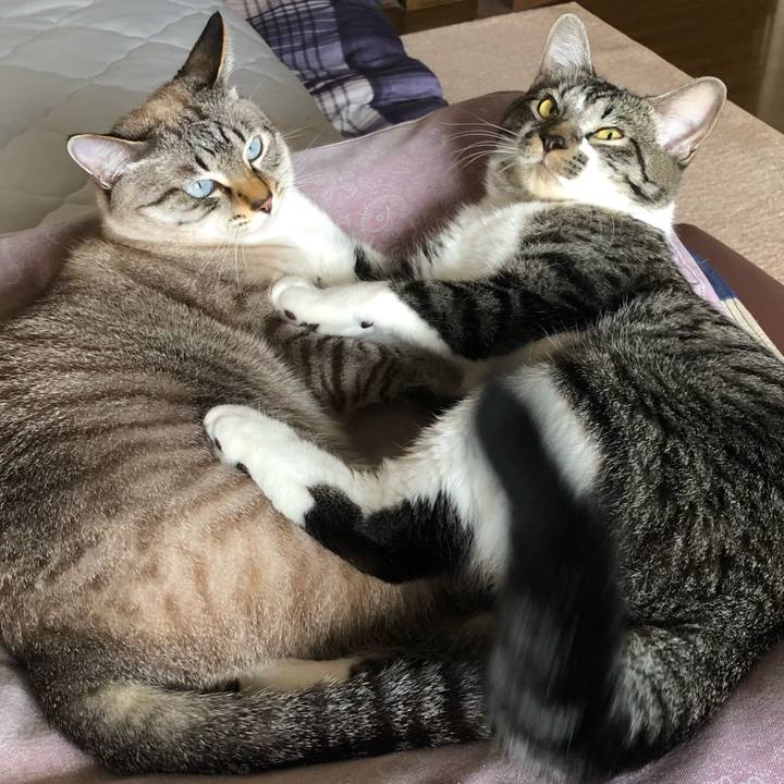 B3f00a9f 12bc 4633 961a b9a3a9b45904 1659960643391