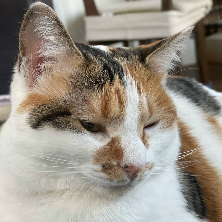 B3f01944 a0fc 435c a05b cc3e154d3f0a 1612064519605